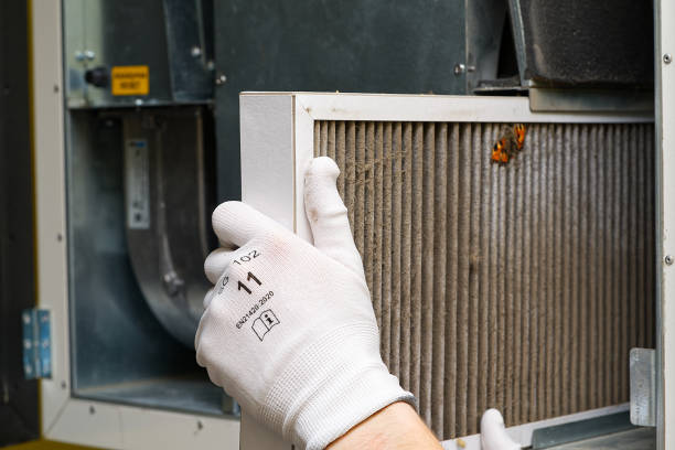 Best Air Vent Cleaning Services  in Mcqueeney, TX